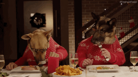 giphy-Aug-19-2021-12-18-57-39-PM