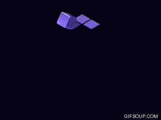 giphy-Sep-01-2021-11-59-16-17-AM